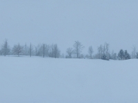 73790PaCrRe - Snowfall in Clayt French Park   Each New Day A Miracle  [  Understanding the Bible   |   Poetry   |   Story  ]- by Pete Rhebergen